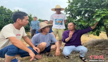 湖南江永搭建“银发人才库” 带动培育新型职业农民